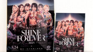 女子プロレス　マリーゴールド　トレカ　ポスターカード　16種　コンプリート 女子プロレス マリーゴールド トレカ ポスターカード 16種
