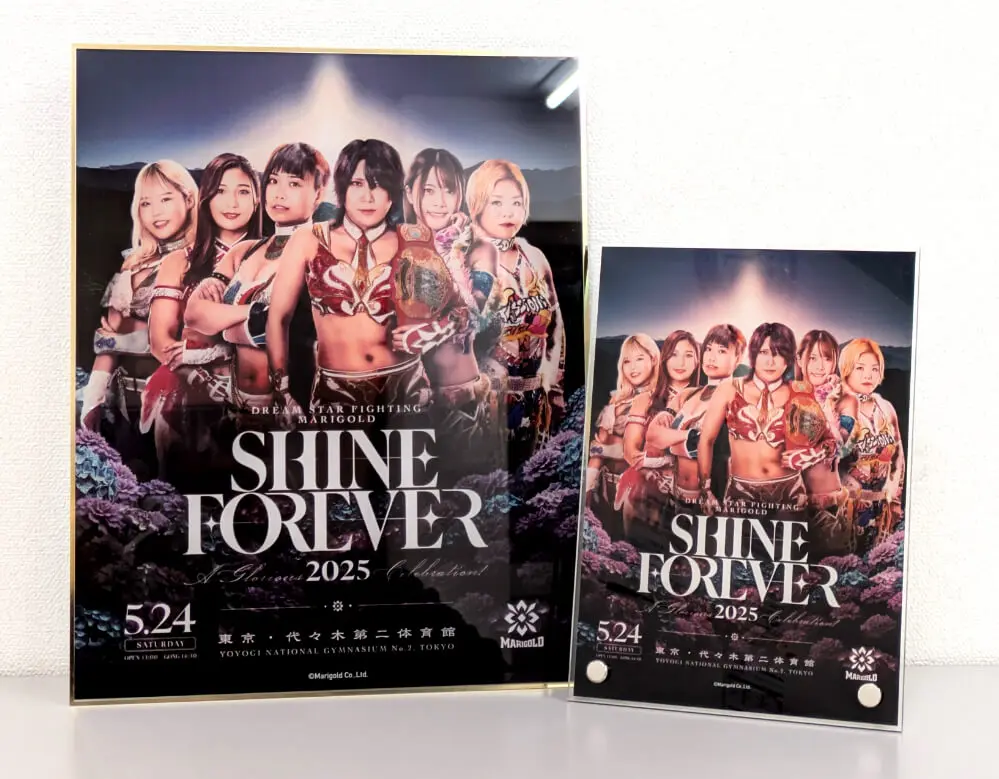 女子プロレス マリーゴールド トレカ ポスターカード 16種